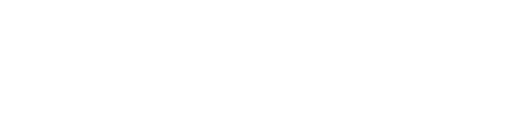 ardusimple logo